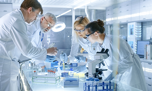 Laboratory Services